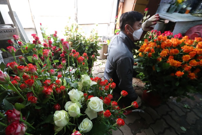 Phần 8: Sản xuất hoa ở Hàn Quốc